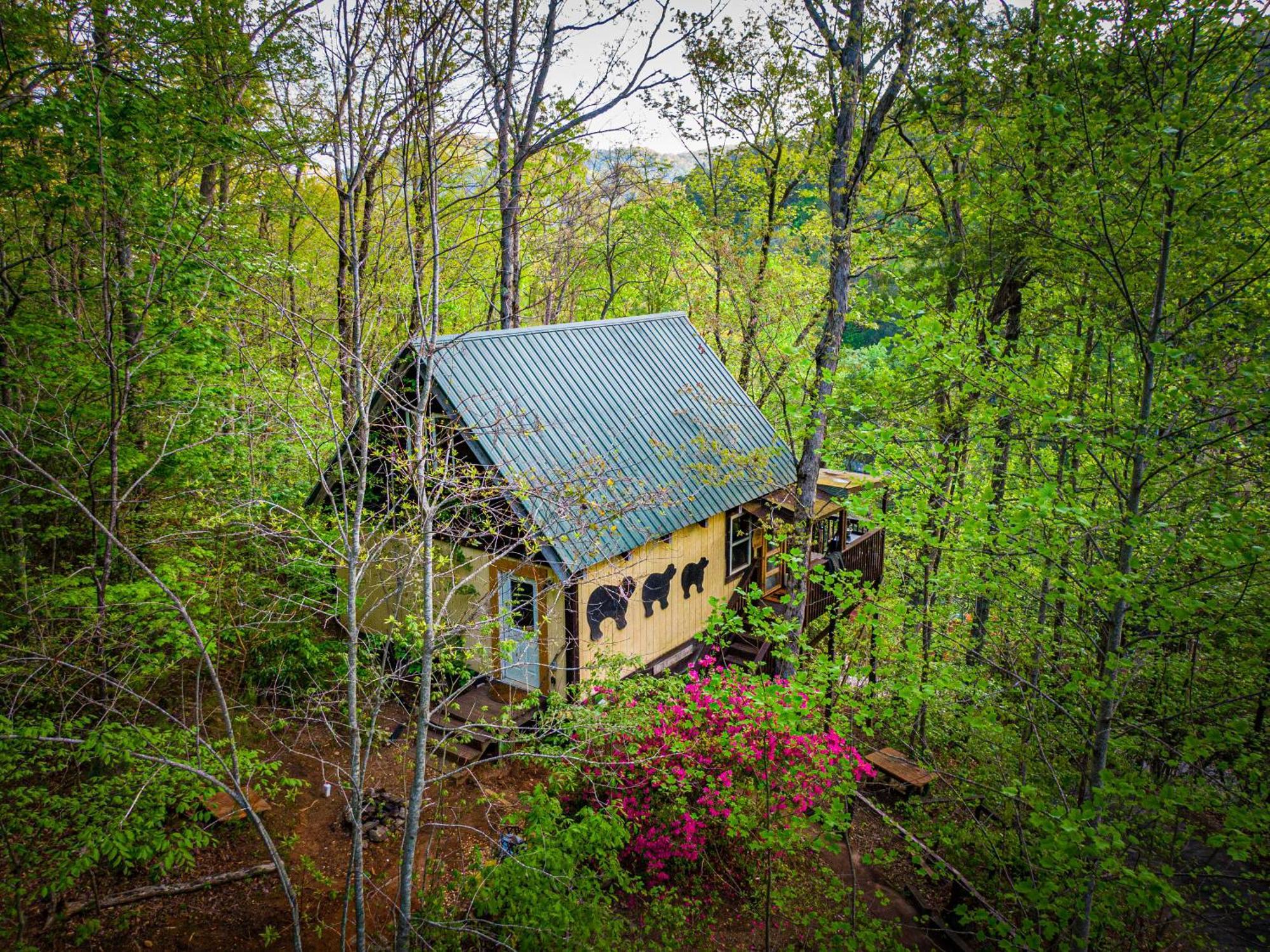 Bear Creek Lodge And Cabins In Helen Ga - Pet Friendly, River On Property, Walking Distance To Downtown Helen Extérieur photo